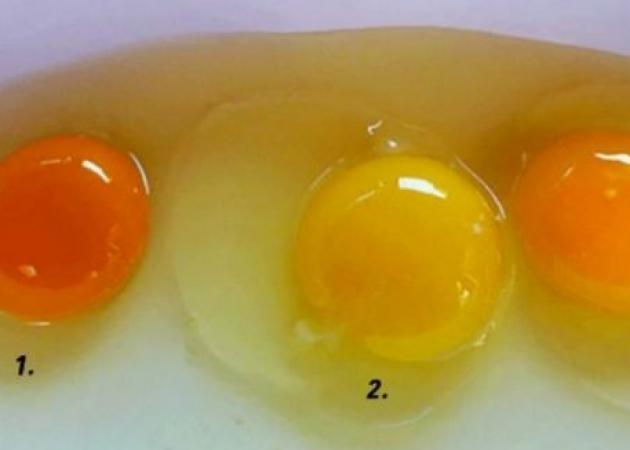 Κρόκος αυγού: Ποιος από αυτούς σου φαίνεται πιο υγιεινός;