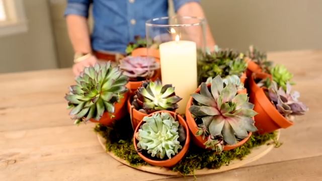 Πώς να φτιάξεις ένα διακοσμητικό με φυτά για το τραπέζι σου σε 30 λεπτά!