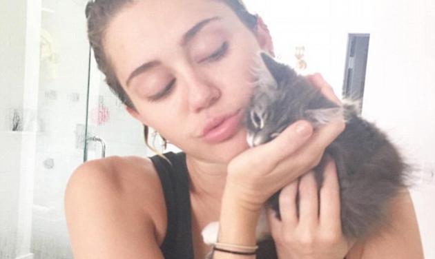 Miley Cyrus: Έσωσε από βέβαιο θάνατο δυο γατάκια και μας τα δείχνει στο instagram!