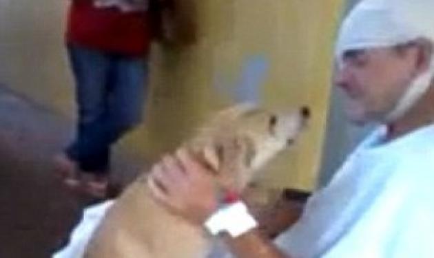 Συγκινητικό! Σκύλος περίμενε 8 μέρες έξω από το νοσοκομείο το αφεντικό του! Βίντεο