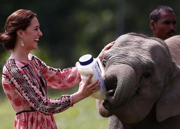 Kate Middleton: Πήρε το μπιμπερό να ταΐσει ελεφαντάκι! Απίστευτες φωτογραφίες
