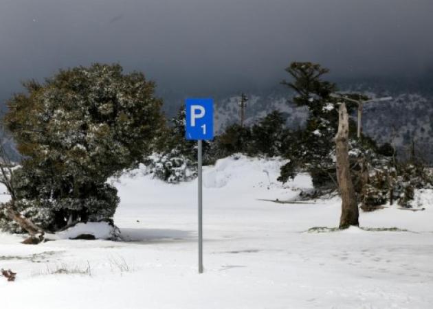 Χάθηκαν τέσσερα παιδιά με τους πατεράδες τους στην Πάρνηθα!