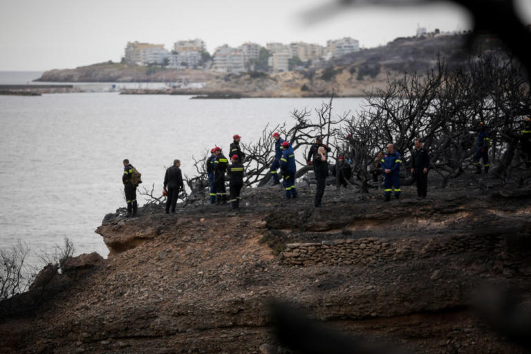 «Είδα ένα 13χρονο κορίτσι να πηδάει στο γκρεμό! Εκεί, τελείωσε μόνη της»