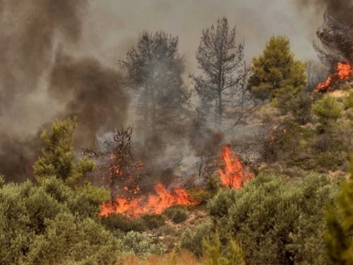 Κι άλλη φωτιά! Καίγεται δάσος στην Ελασσόνα