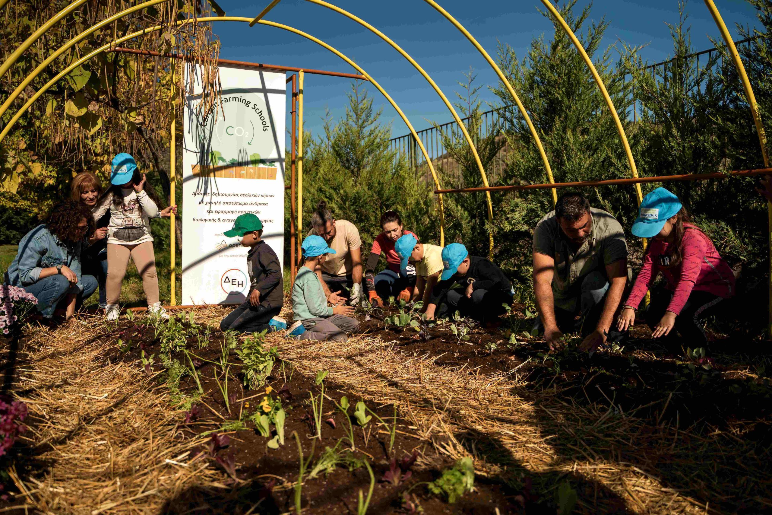 Carbon Farming Schools: ΔΕΗ και Open Farm προωθούν τη βιώσιμη γεωργία στους μαθητές